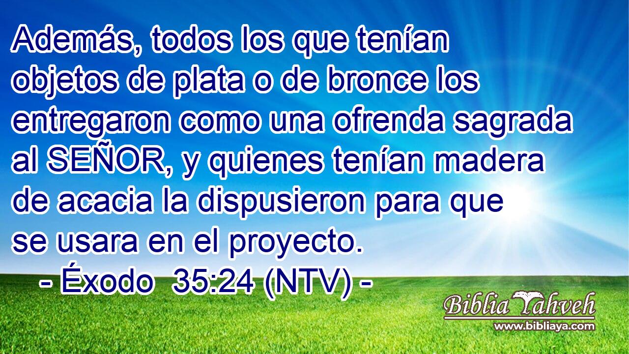 Además, todos los que tenían objetos de plata o de bronce los entregaron como una ofrenda sagrada al SEÑOR, y quienes tenían madera de acacia la dispusieron para que se usara en el proyecto.