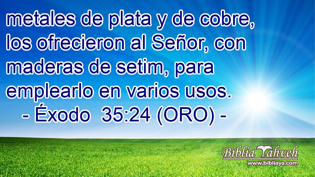  metales de plata y de cobre, los ofrecieron al Señor, con maderas de setim, para emplearlo en varios usos. 