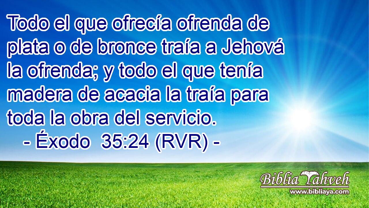 Todo el que ofrecía ofrenda de plata o de bronce traía a Jehová la ofrenda; y todo el que tenía madera de acacia la traía para toda la obra del servicio.