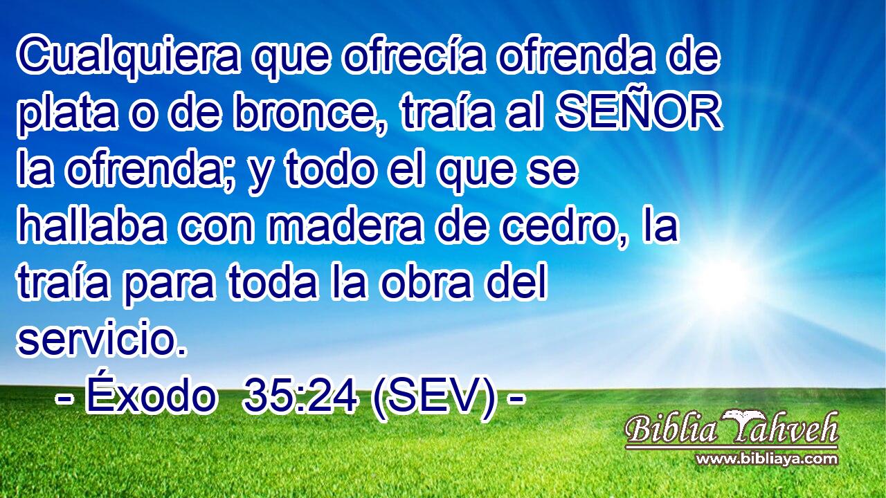 Cualquiera que ofrecía ofrenda de plata o de bronce, traía al SEÑOR la ofrenda; y todo el que se hallaba con madera de cedro, la traía para toda la obra del servicio.