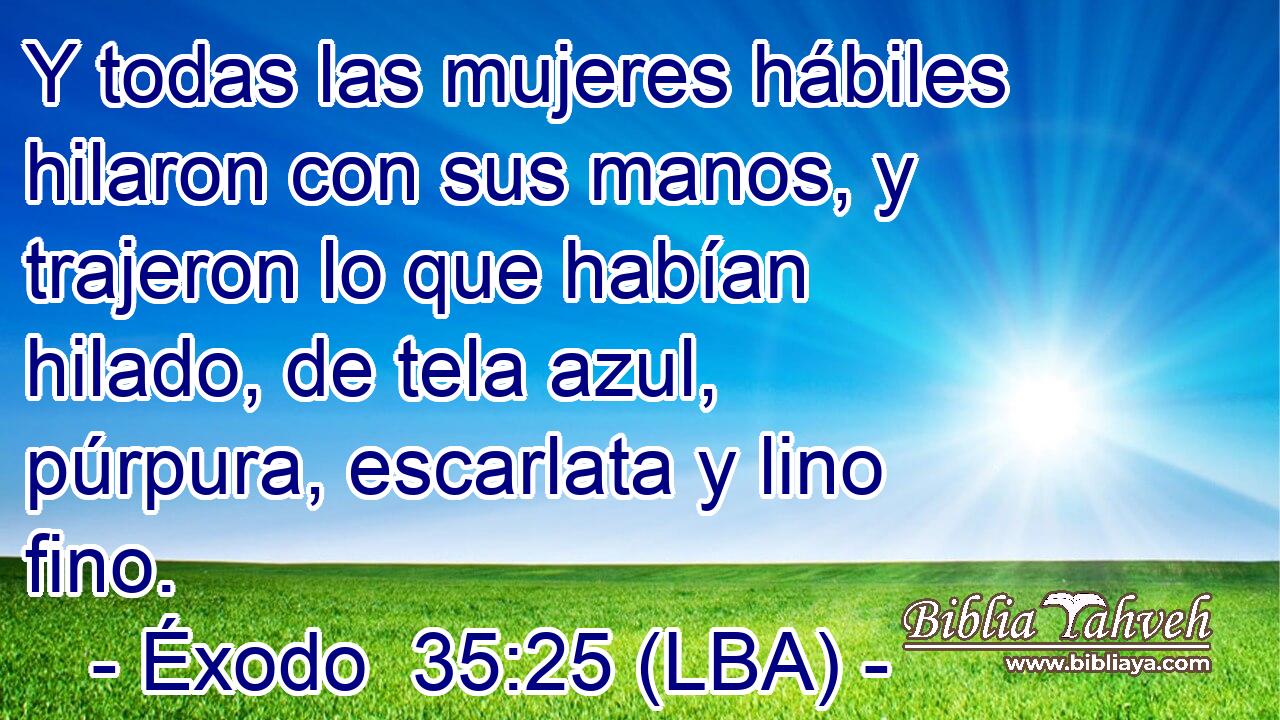 Y todas las mujeres hábiles hilaron con sus manos, y trajeron lo que habían hilado, de tela azul, púrpura, escarlata y lino fino.