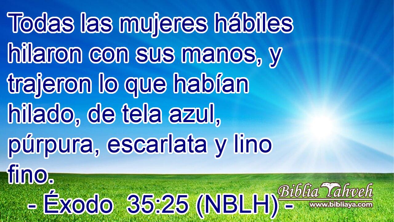  Todas las mujeres hábiles hilaron con sus manos, y trajeron lo que habían hilado, de tela azul, púrpura, escarlata y lino fino. 