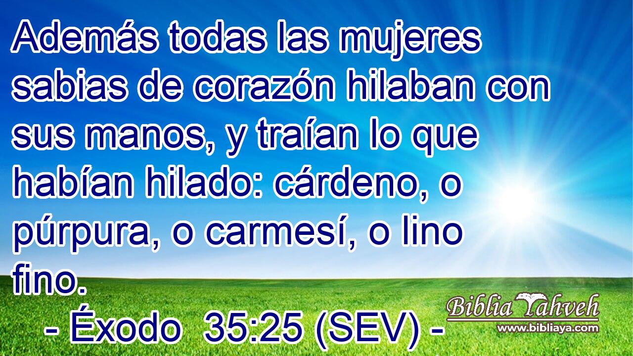 Además todas las mujeres sabias de corazón hilaban con sus manos, y traían lo que habían hilado: cárdeno, o púrpura, o carmesí, o lino fino.