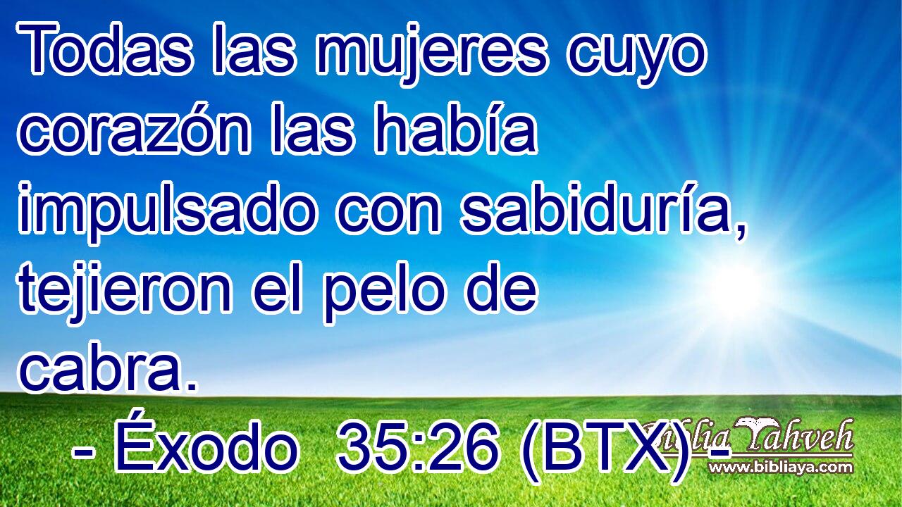 Todas las mujeres cuyo corazón las había impulsado con sabiduría, tejieron el pelo de cabra.