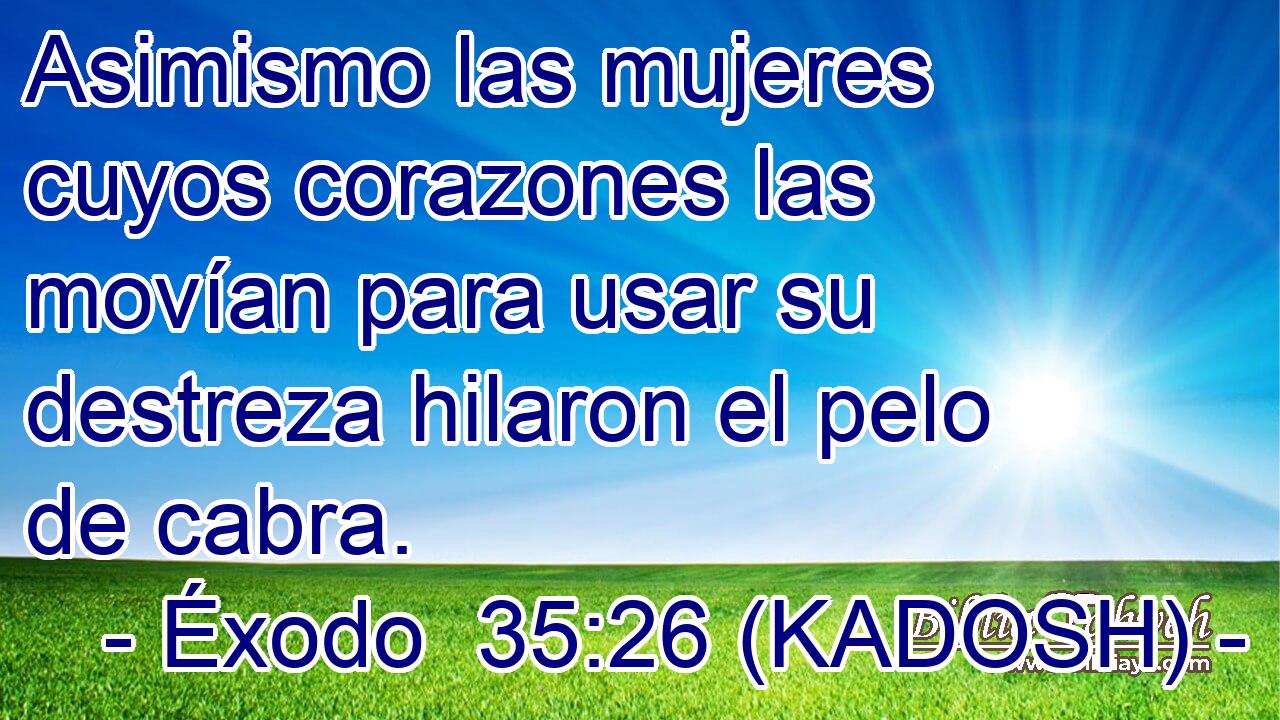  Asimismo las mujeres cuyos corazones las movían para usar su destreza hilaron el pelo de cabra. 