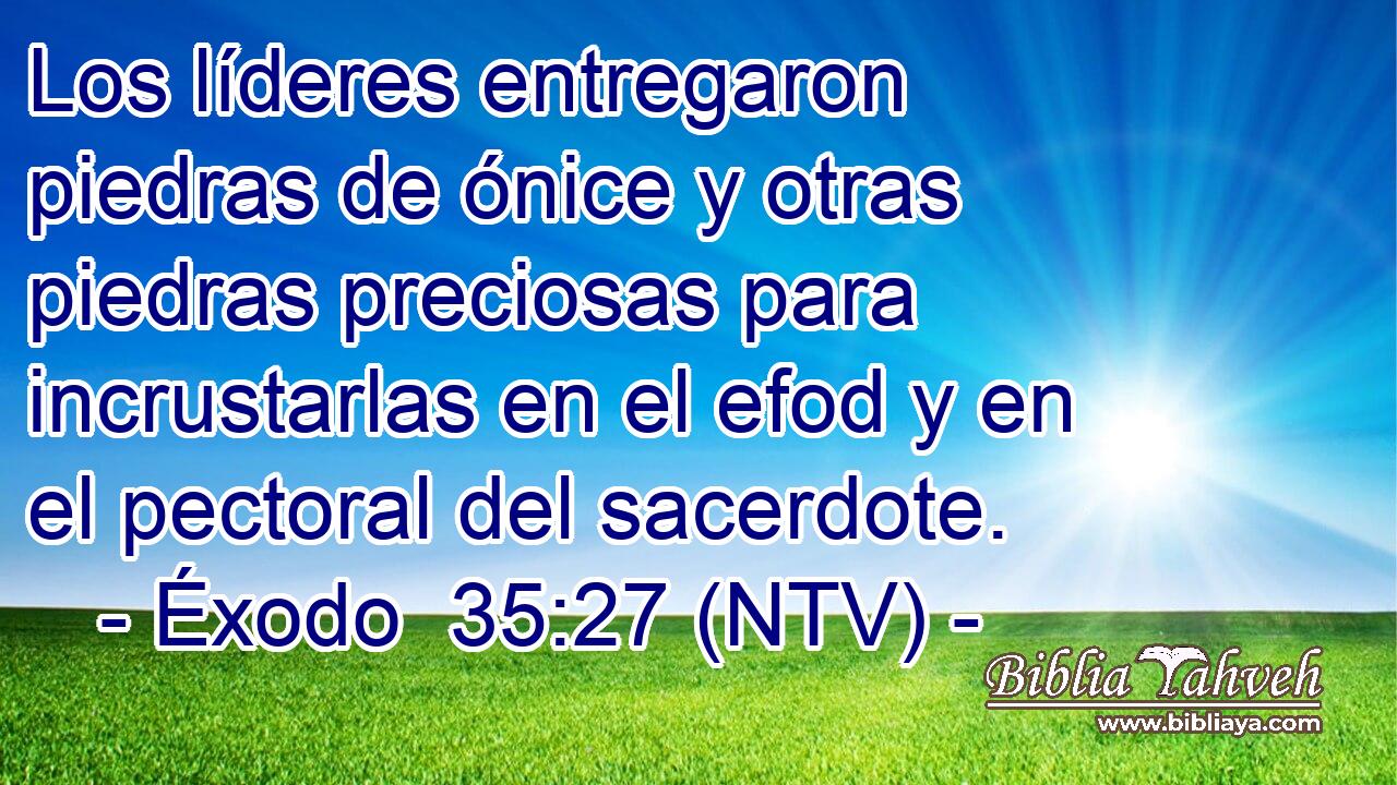 Los líderes entregaron piedras de ónice y otras piedras preciosas para incrustarlas en el efod y en el pectoral del sacerdote.