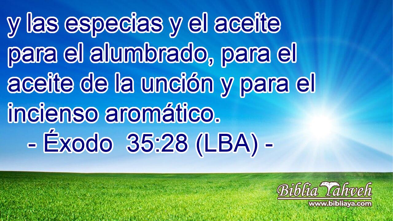 y las especias y el aceite para el alumbrado, para el aceite de la unción y para el incienso aromático.