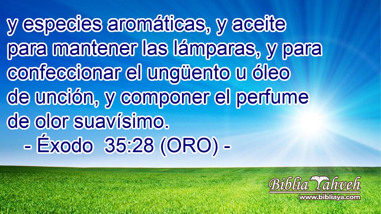  y especies aromáticas, y aceite para mantener las lámparas, y para confeccionar el ungüento u óleo de unción, y componer el perfume de olor suavísimo. 
