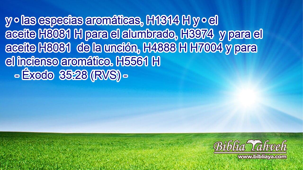 y • las especias aromáticas, H1314 H y • el aceite H8081 H para el alumbrado, H3974  y para el aceite H8081  de la unción, H4888 H H7004 y para el incienso aromático. H5561 H 