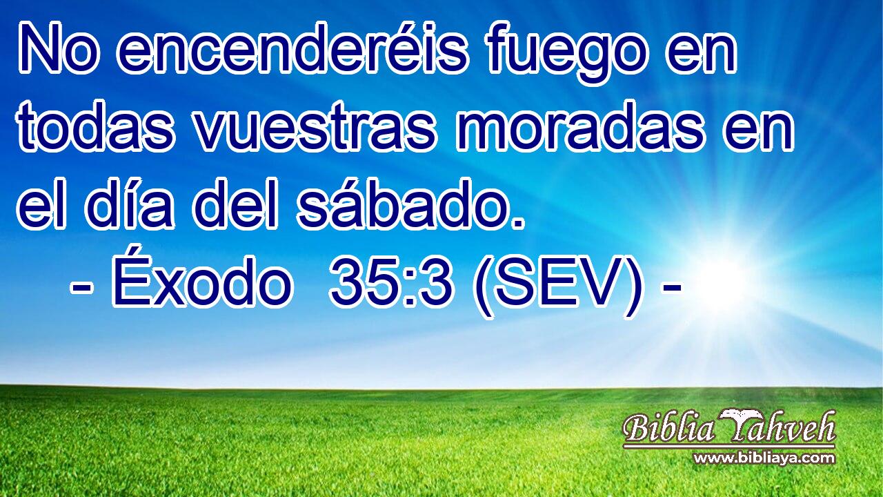 No encenderéis fuego en todas vuestras moradas en el día del sábado.