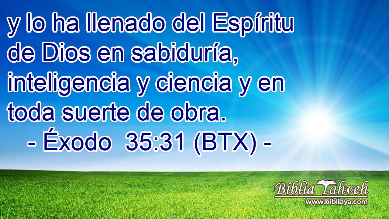 y lo ha llenado del Espíritu de Dios en sabiduría, inteligencia y ciencia y en toda suerte de obra.