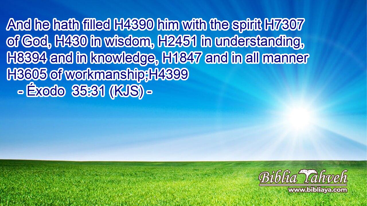 And he hath filled H4390 him with the spirit H7307 of God, H430 in wisdom, H2451 in understanding, H8394 and in knowledge, H1847 and in all manner H3605 of workmanship;H4399