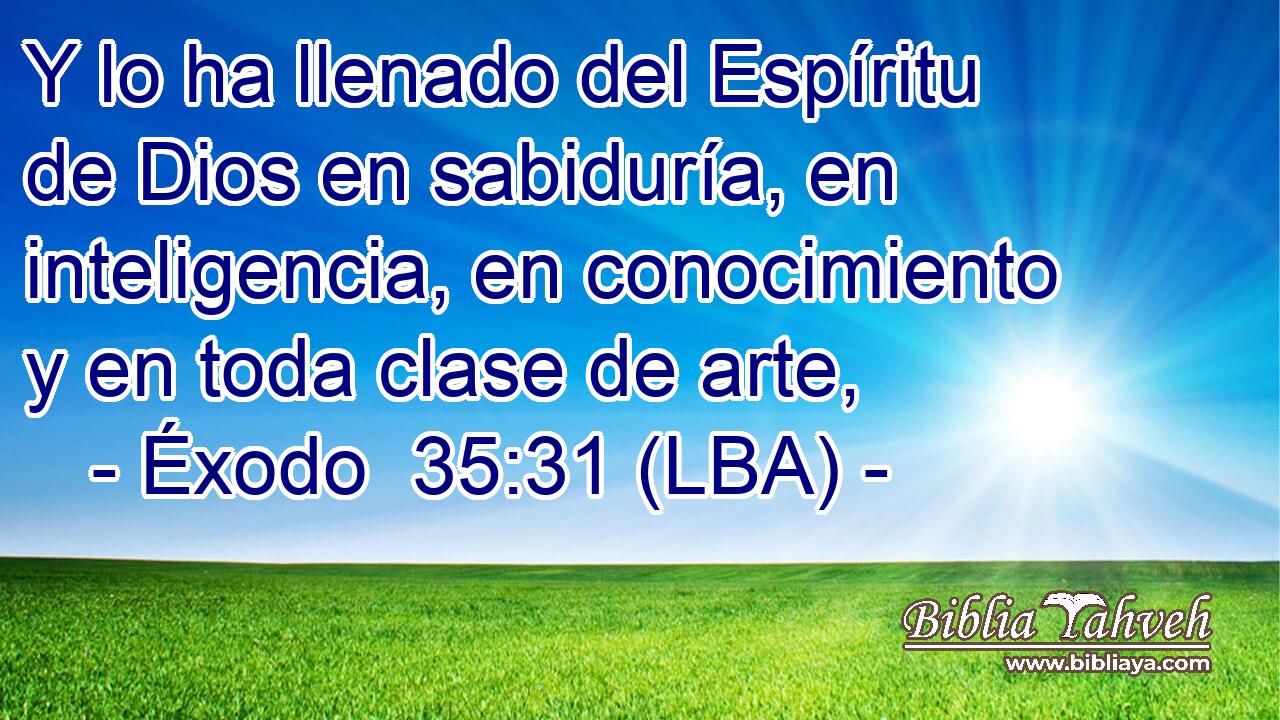 Y lo ha llenado del Espíritu de Dios en sabiduría, en inteligencia, en conocimiento y en toda clase de arte,