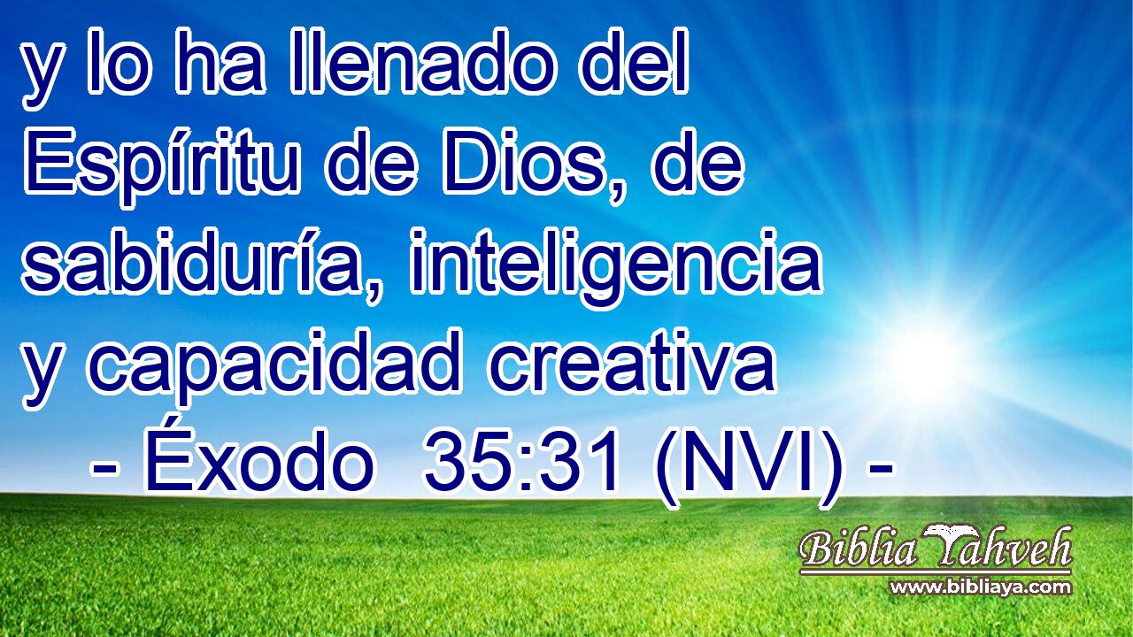 y lo ha llenado del Espíritu de Dios, de sabiduría, inteligencia y capacidad creativa 