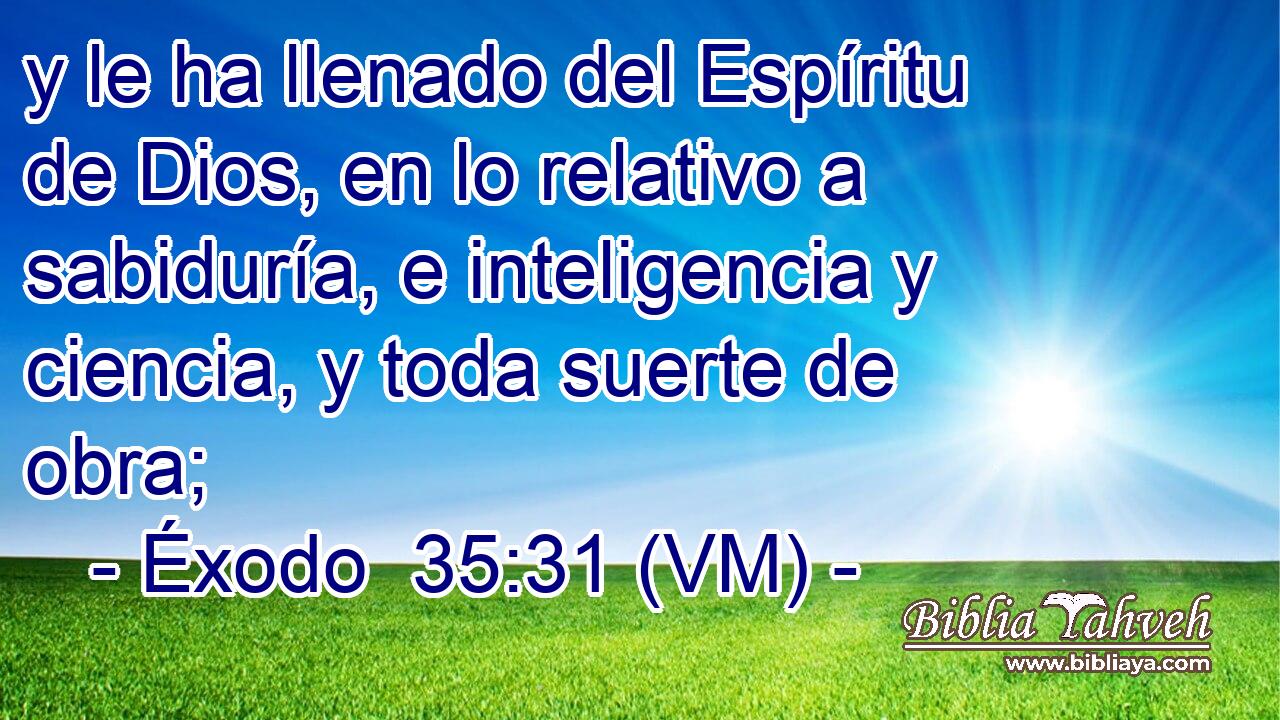  y le ha llenado del Espíritu de Dios, en lo relativo a sabiduría, e inteligencia y ciencia, y toda suerte de obra; 