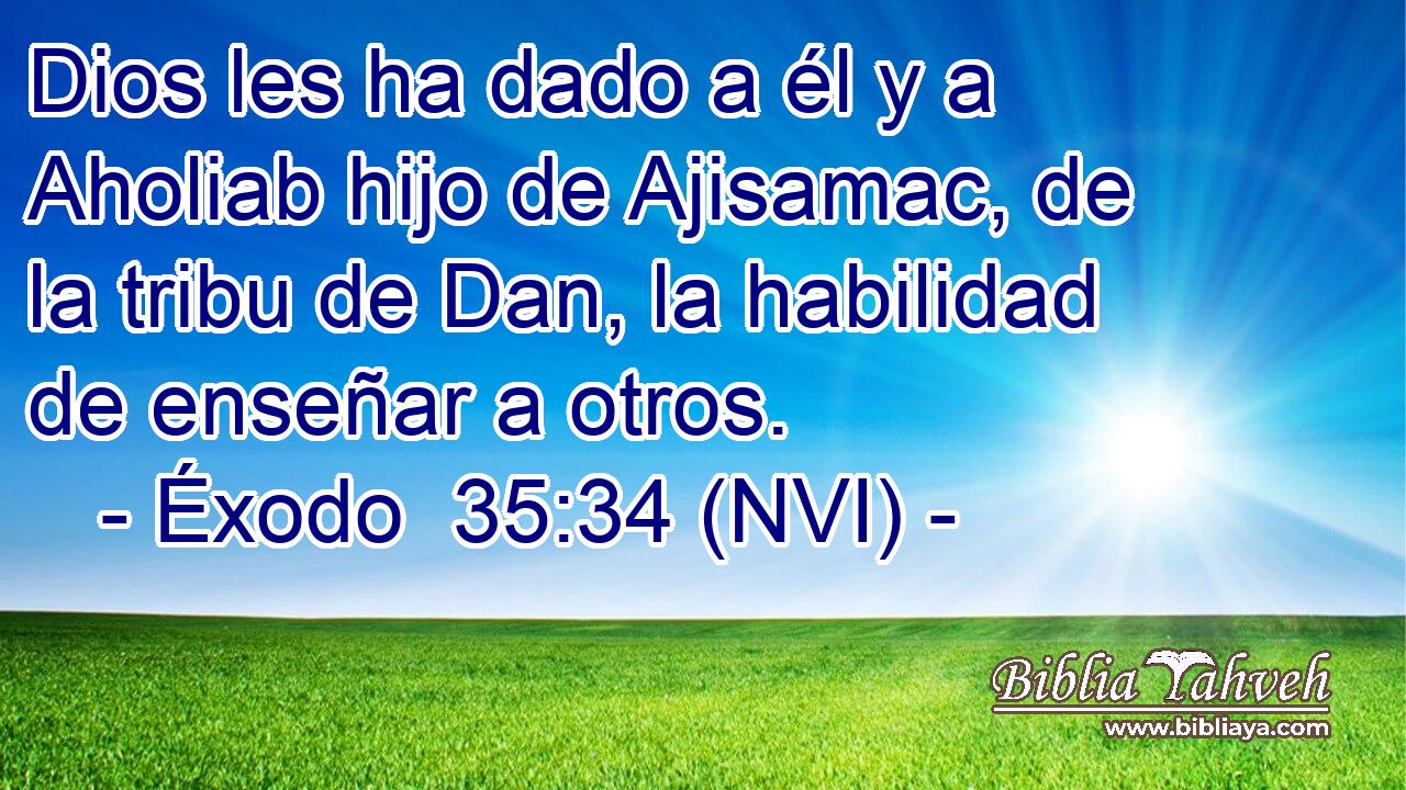 Dios les ha dado a él y a Aholiab hijo de Ajisamac, de la tribu de Dan, la habilidad de enseñar a otros. 