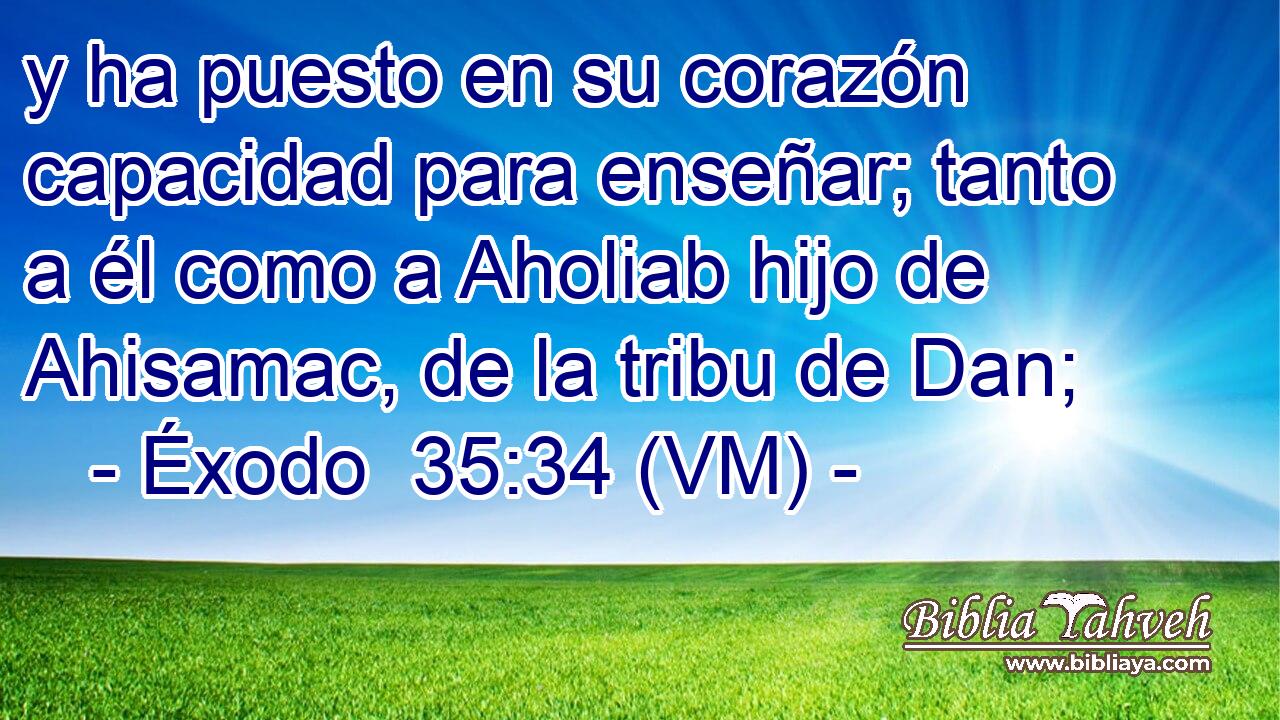  y ha puesto en su corazón capacidad para enseñar; tanto a él como a Aholiab hijo de Ahisamac, de la tribu de Dan; 