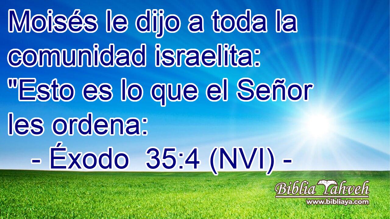  Moisés le dijo a toda la comunidad israelita: 