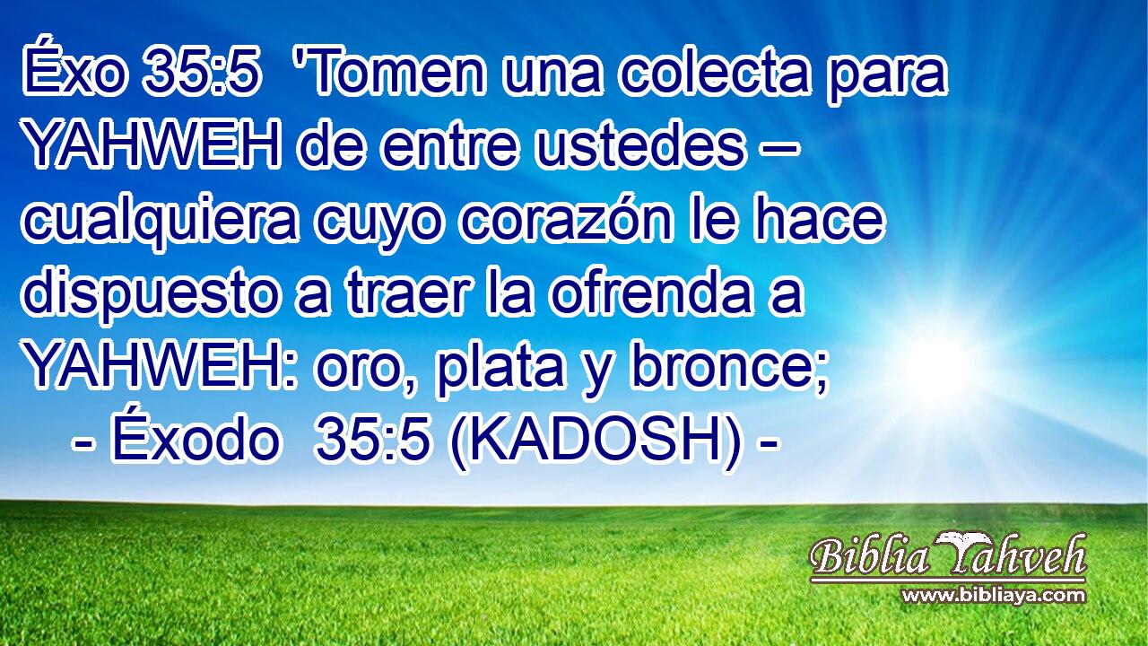  'Tomen una colecta para YAHWEH de entre ustedes – cualquiera cuyo corazón le hace dispuesto a traer la ofrenda a YAHWEH: oro, plata y bronce; 
