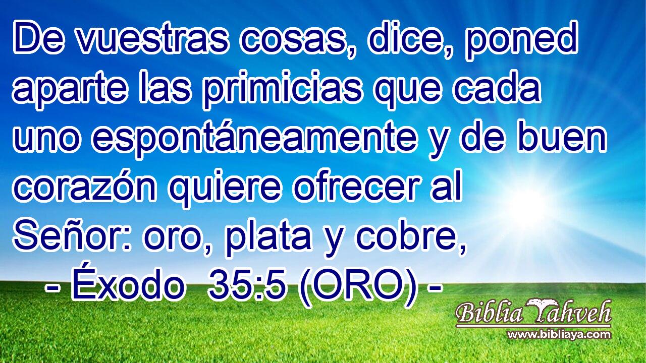  De vuestras cosas, dice, poned aparte las primicias que cada uno espontáneamente y de buen corazón quiere ofrecer al Señor: oro, plata y cobre, 