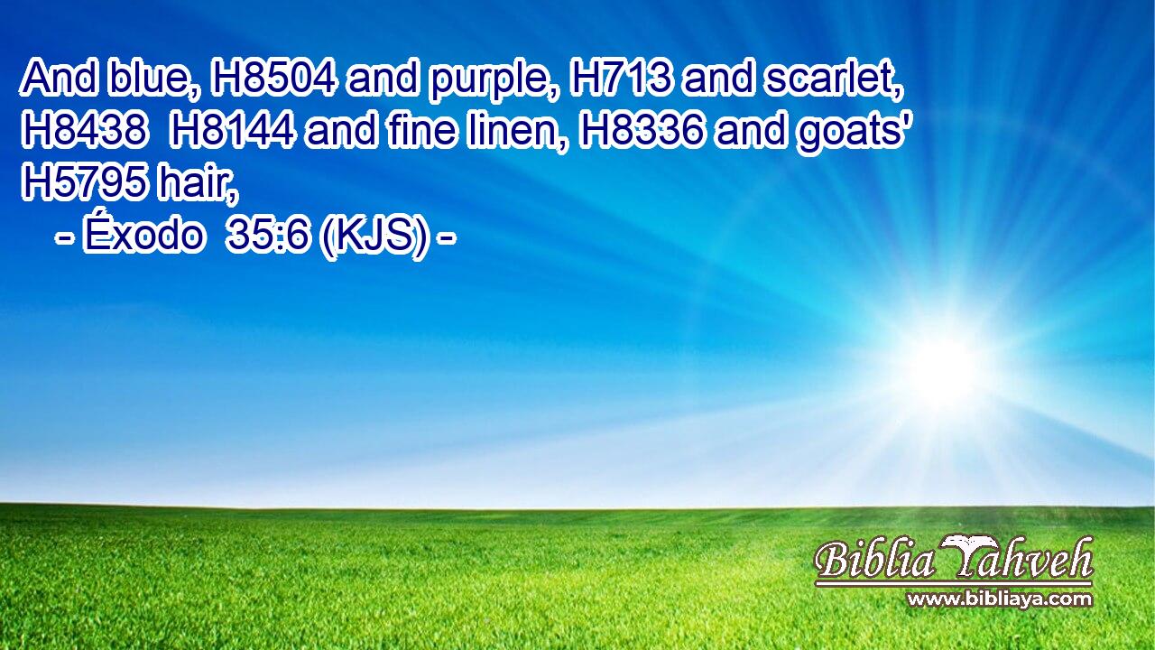 And blue, H8504 and purple, H713 and scarlet, H8438  H8144 and fine linen, H8336 and goats' H5795 hair,