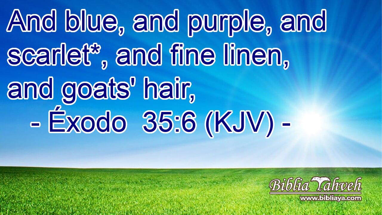 And blue, and purple, and scarlet*, and fine linen, and goats' hair,