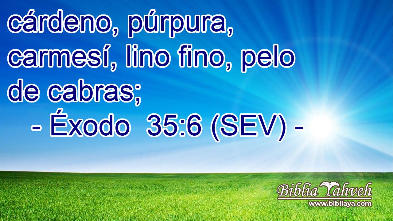 cárdeno, púrpura, carmesí, lino fino, pelo de cabras;