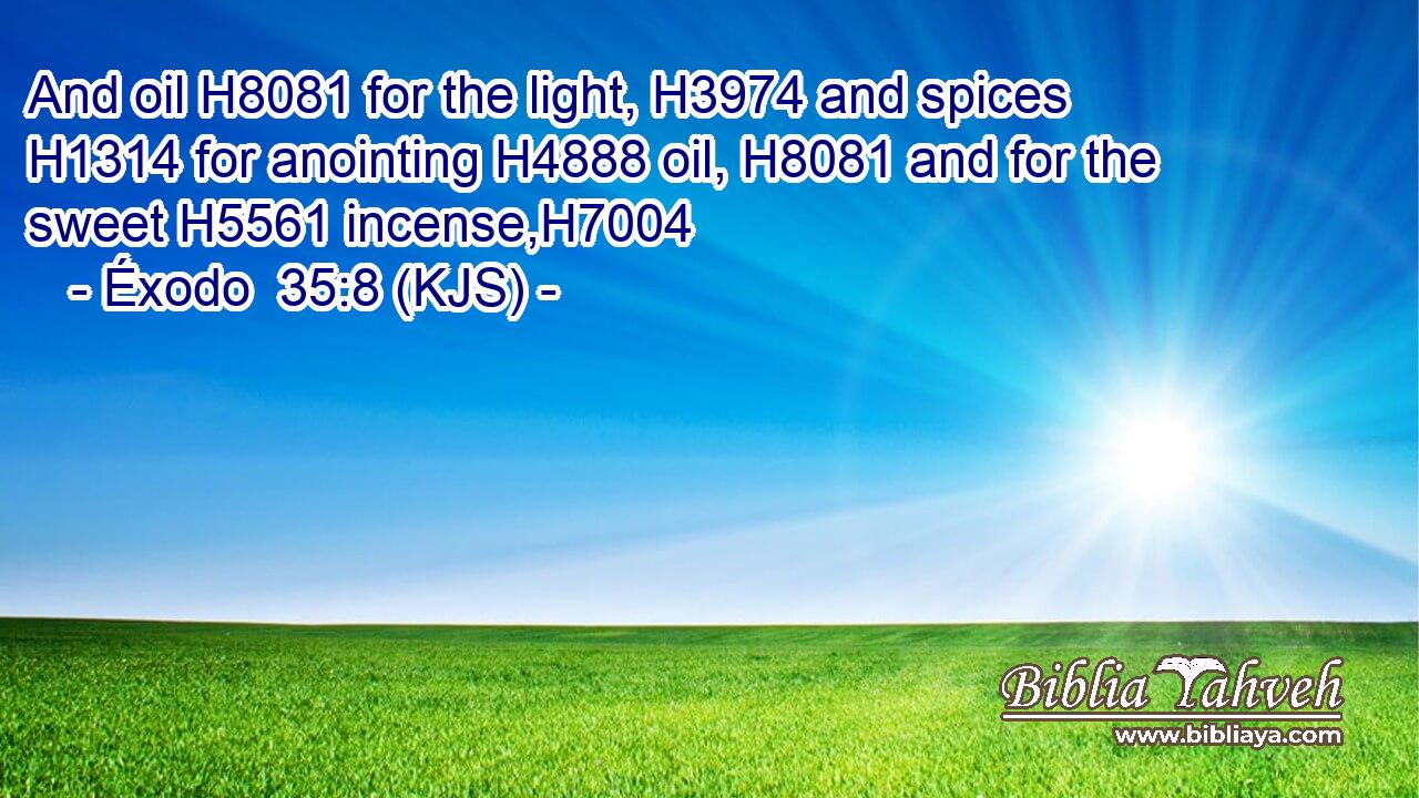 And oil H8081 for the light, H3974 and spices H1314 for anointing H4888 oil, H8081 and for the sweet H5561 incense,H7004