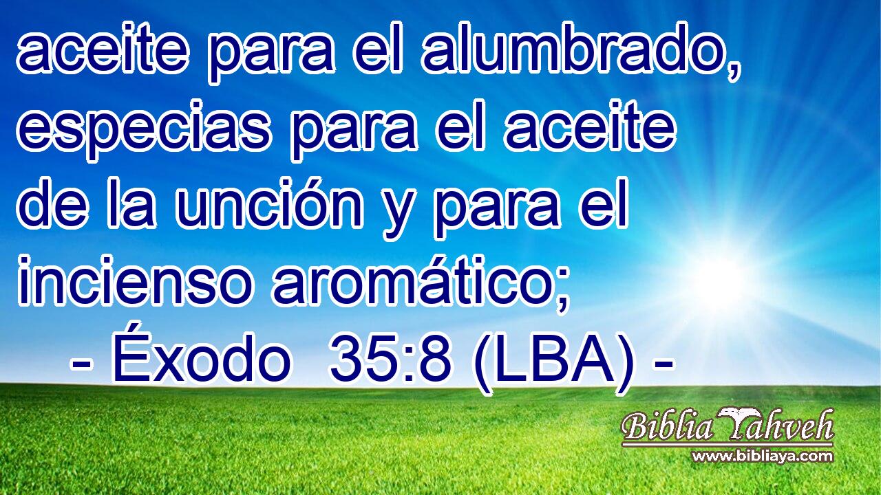 aceite para el alumbrado, especias para el aceite de la unción y para el incienso aromático;