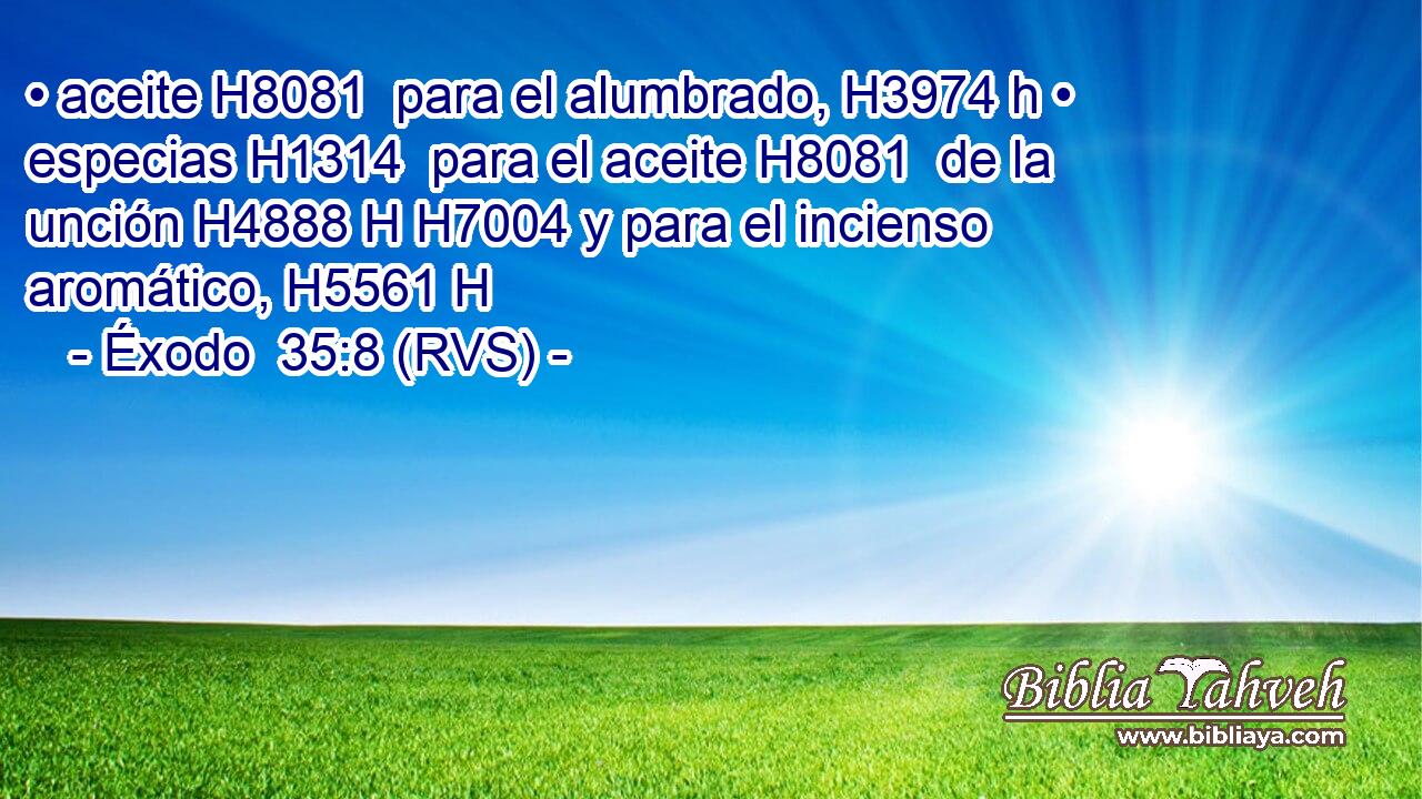 • aceite H8081  para el alumbrado, H3974 h • especias H1314  para el aceite H8081  de la unción H4888 H H7004 y para el incienso aromático, H5561 H 