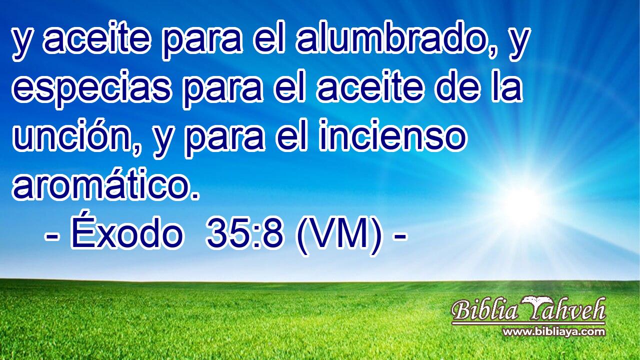  y aceite para el alumbrado, y especias para el aceite de la unción, y para el incienso aromático. 