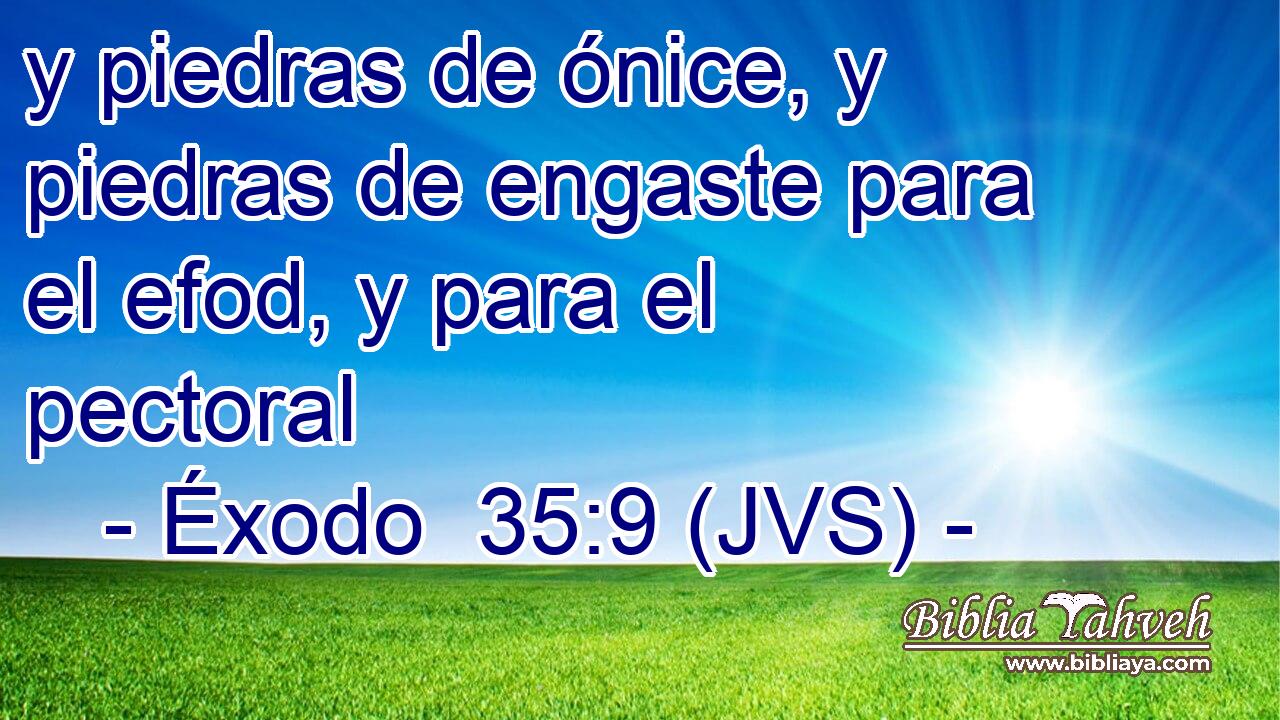 y piedras de ónice, y piedras de engaste para el efod, y para el pectoral