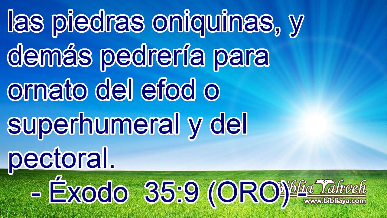  las piedras oniquinas, y demás pedrería para ornato del efod o superhumeral y del pectoral. 