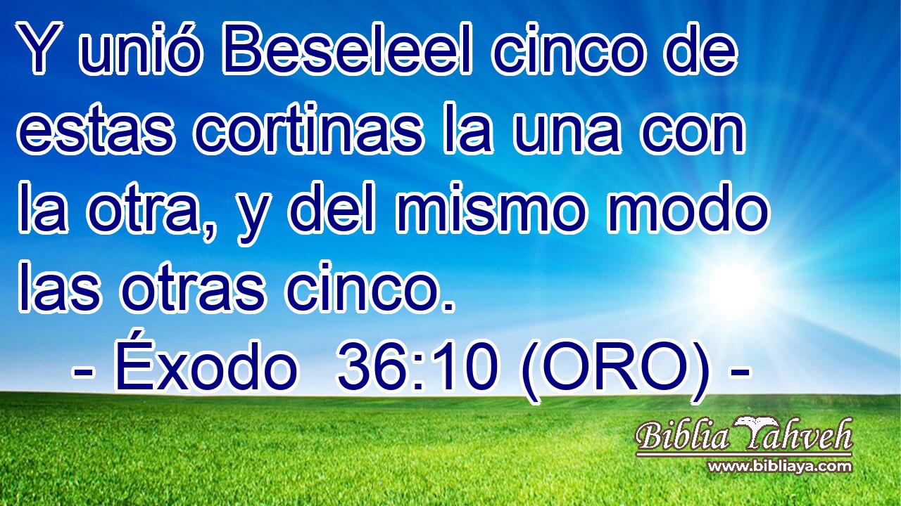  Y unió Beseleel cinco de estas cortinas la una con la otra, y del mismo modo las otras cinco. 