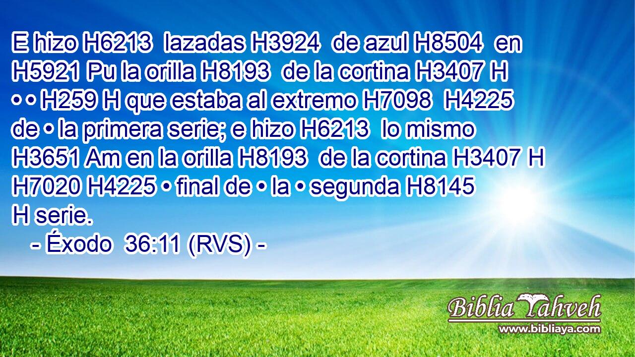 E hizo H6213  lazadas H3924  de azul H8504  en H5921 Pu la orilla H8193  de la cortina H3407 H • • H259 H que estaba al extremo H7098  H4225 de • la primera serie; e hizo H6213  lo mismo H3651 Am en la orilla H8193  de la cortina H3407 H H7020 H4225 • final de • la • segunda H8145 H serie. 