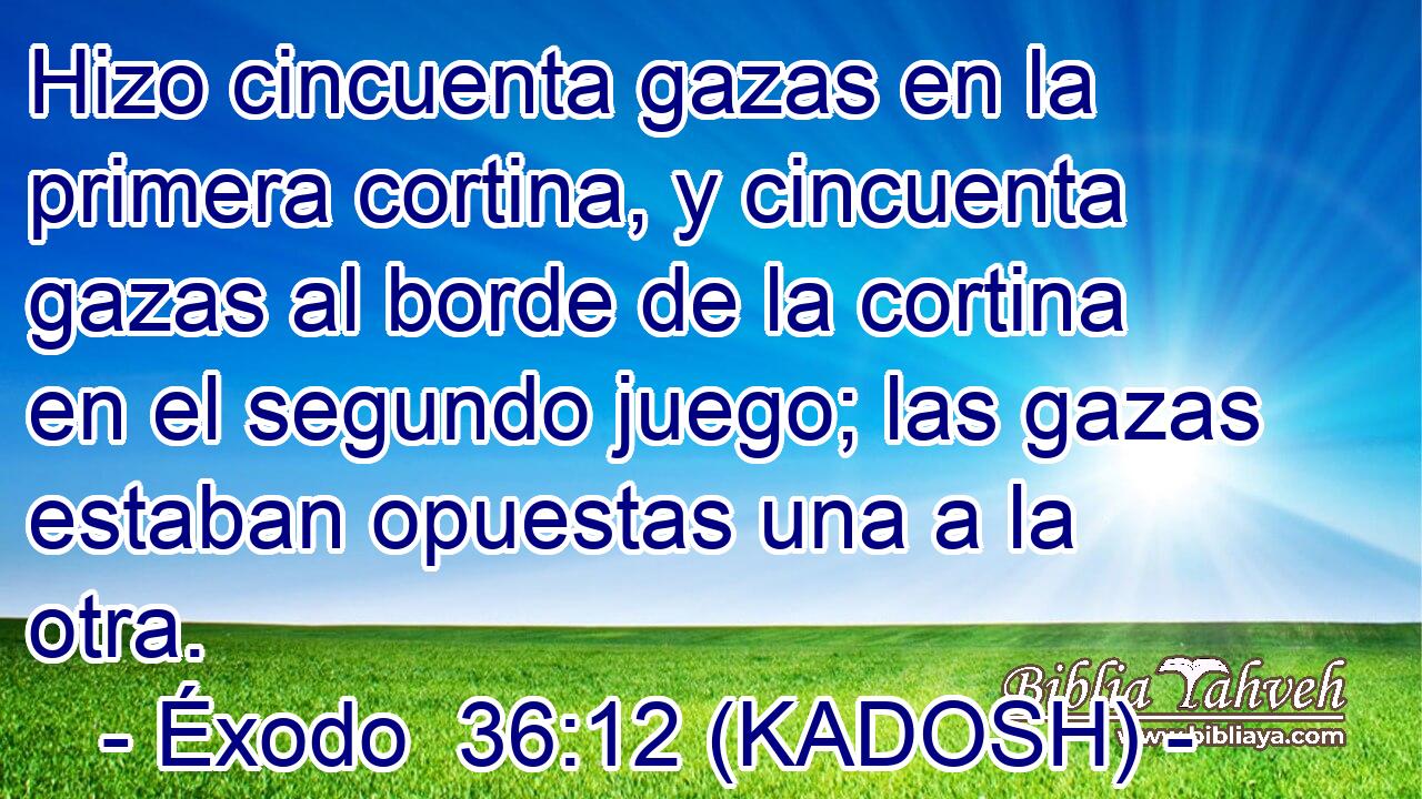  Hizo cincuenta gazas en la primera cortina, y cincuenta gazas al borde de la cortina en el segundo juego; las gazas estaban opuestas una a la otra. 
