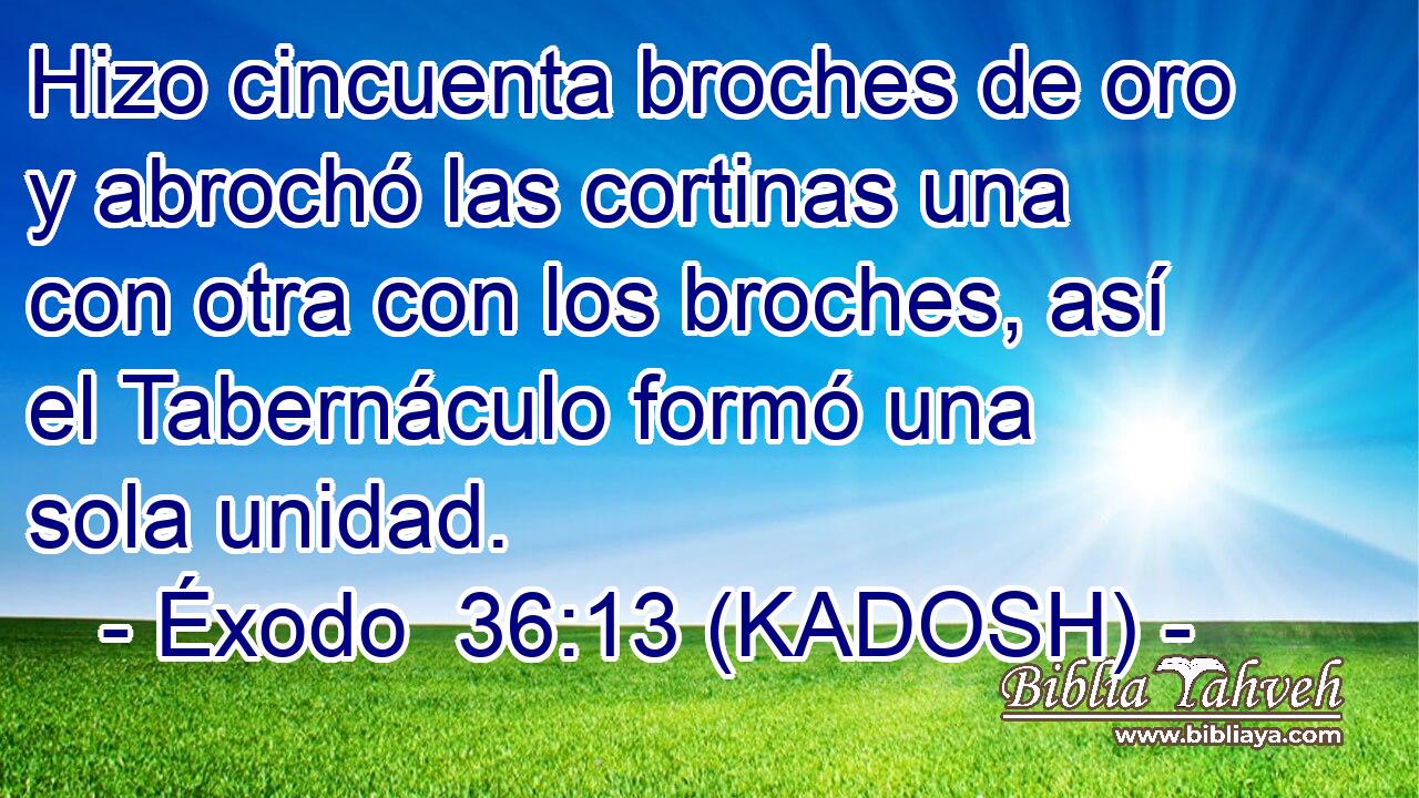  Hizo cincuenta broches de oro y abrochó las cortinas una con otra con los broches, así el Tabernáculo formó una sola unidad. 