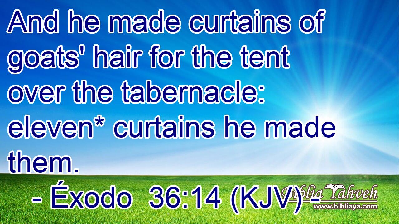 And he made curtains of goats' hair for the tent over the tabernacle: eleven* curtains he made them.