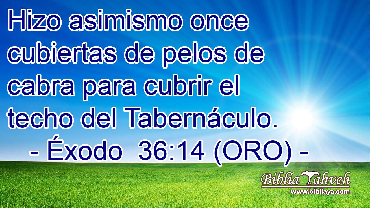  Hizo asimismo once cubiertas de pelos de cabra para cubrir el techo del Tabernáculo. 