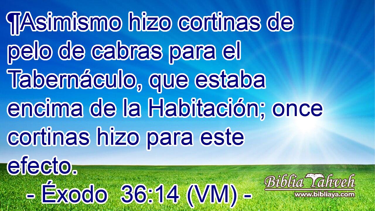  ¶Asimismo hizo cortinas de pelo de cabras para el Tabernáculo, que estaba encima de la Habitación; once cortinas hizo para este efecto. 