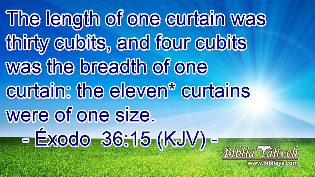 The length of one curtain was thirty cubits, and four cubits was the breadth of one curtain: the eleven* curtains were of one size.