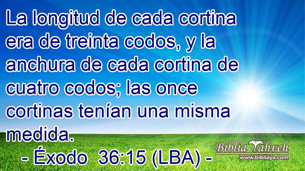 La longitud de cada cortina era de treinta codos, y la anchura de cada cortina de cuatro codos; las once cortinas tenían una misma medida.