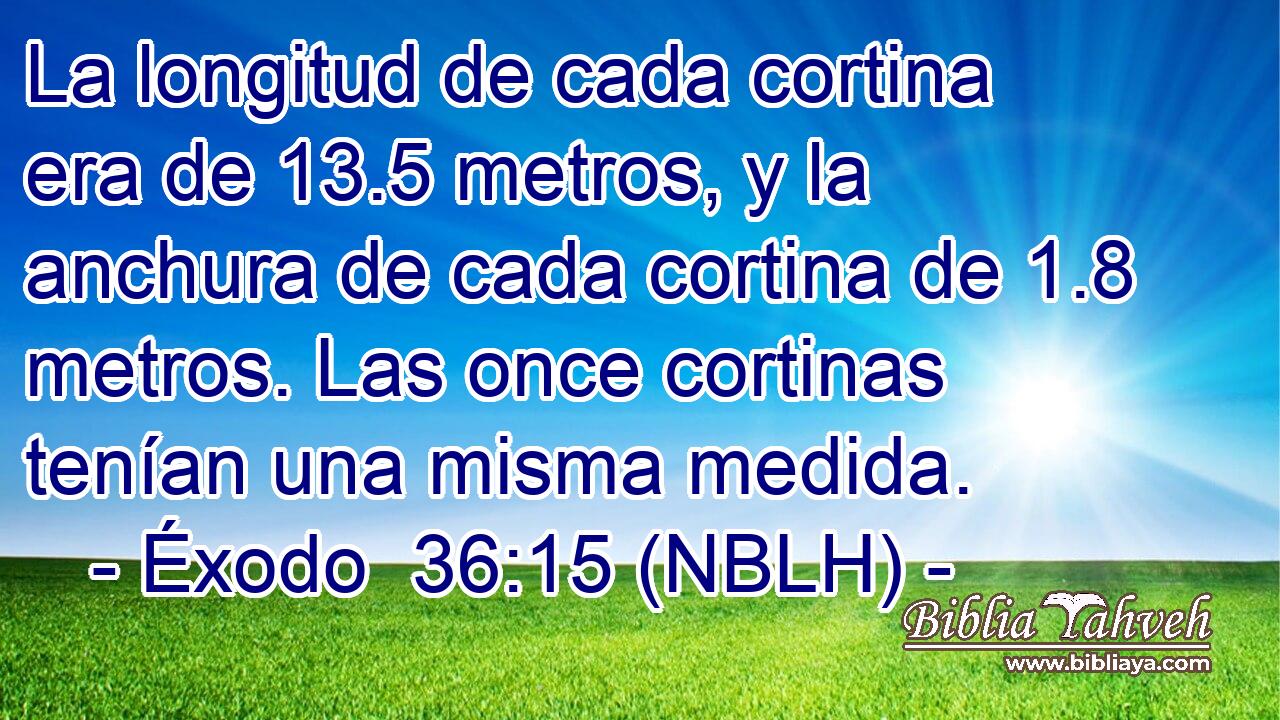  La longitud de cada cortina era de 13.5 metros, y la anchura de cada cortina de 1.8 metros. Las once cortinas tenían una misma medida. 