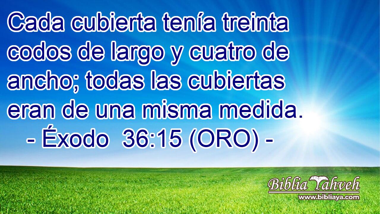  Cada cubierta tenía treinta codos de largo y cuatro de ancho; todas las cubiertas eran de una misma medida. 