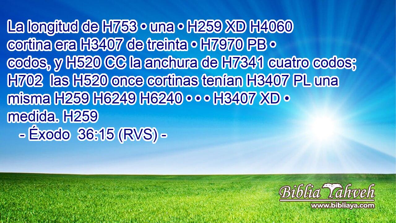 La longitud de H753 • una • H259 XD H4060 cortina era H3407 de treinta • H7970 PB • codos, y H520 CC la anchura de H7341 cuatro codos; H702  las H520 once cortinas tenían H3407 PL una misma H259 H6249 H6240 • • • H3407 XD • medida. H259  