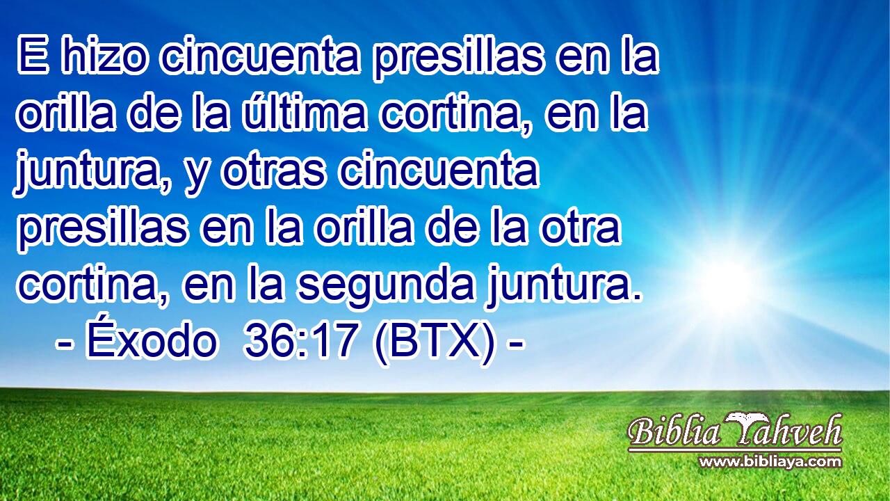 E hizo cincuenta presillas en la orilla de la última cortina, en la juntura, y otras cincuenta presillas en la orilla de la otra cortina, en la segunda juntura.