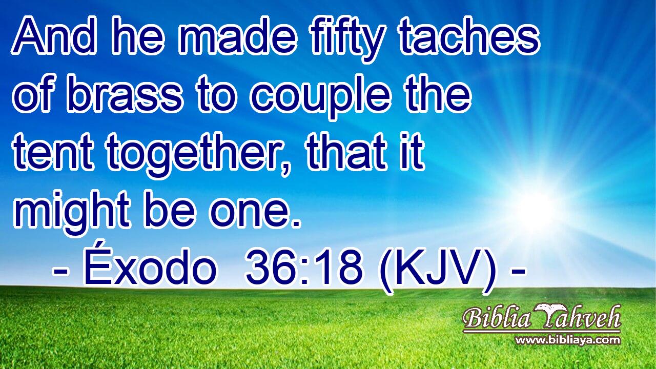 And he made fifty taches of brass to couple the tent together, that it might be one.
