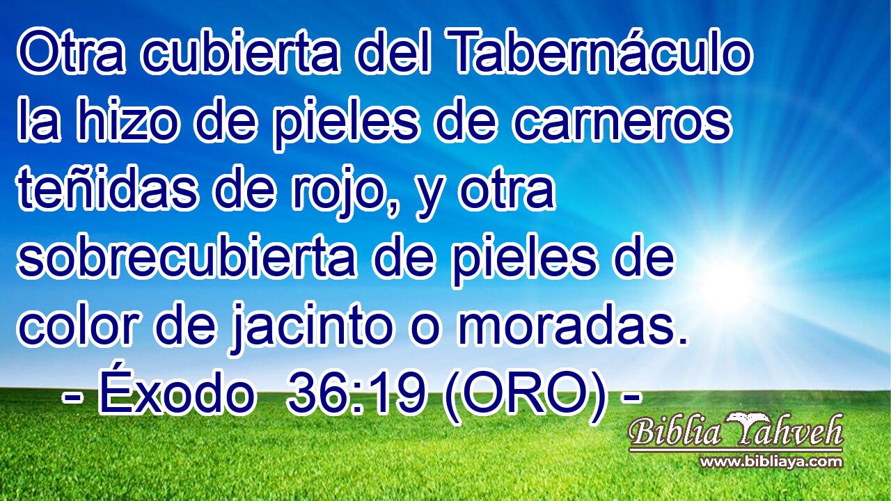  Otra cubierta del Tabernáculo la hizo de pieles de carneros teñidas de rojo, y otra sobrecubierta de pieles de color de jacinto o moradas. 