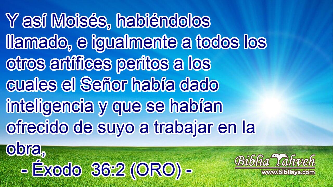  Y así Moisés, habiéndolos llamado, e igualmente a todos los otros artífices peritos a los cuales el Señor había dado inteligencia y que se habían ofrecido de suyo a trabajar en la obra, 
