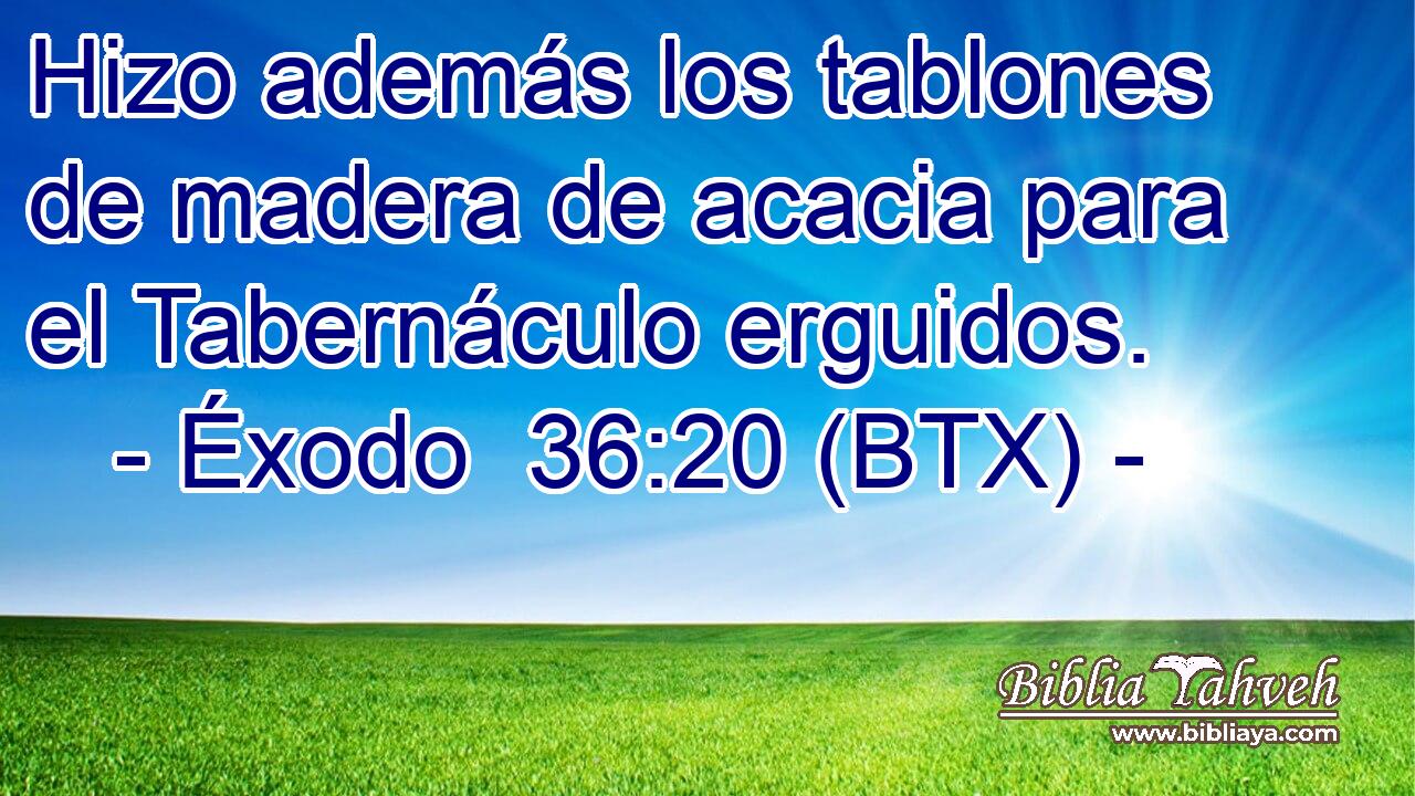 Hizo además los tablones de madera de acacia para el Tabernáculo erguidos.